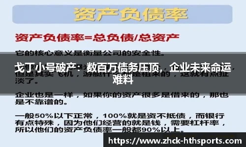 戈丁小号破产：数百万债务压顶，企业未来命运难料